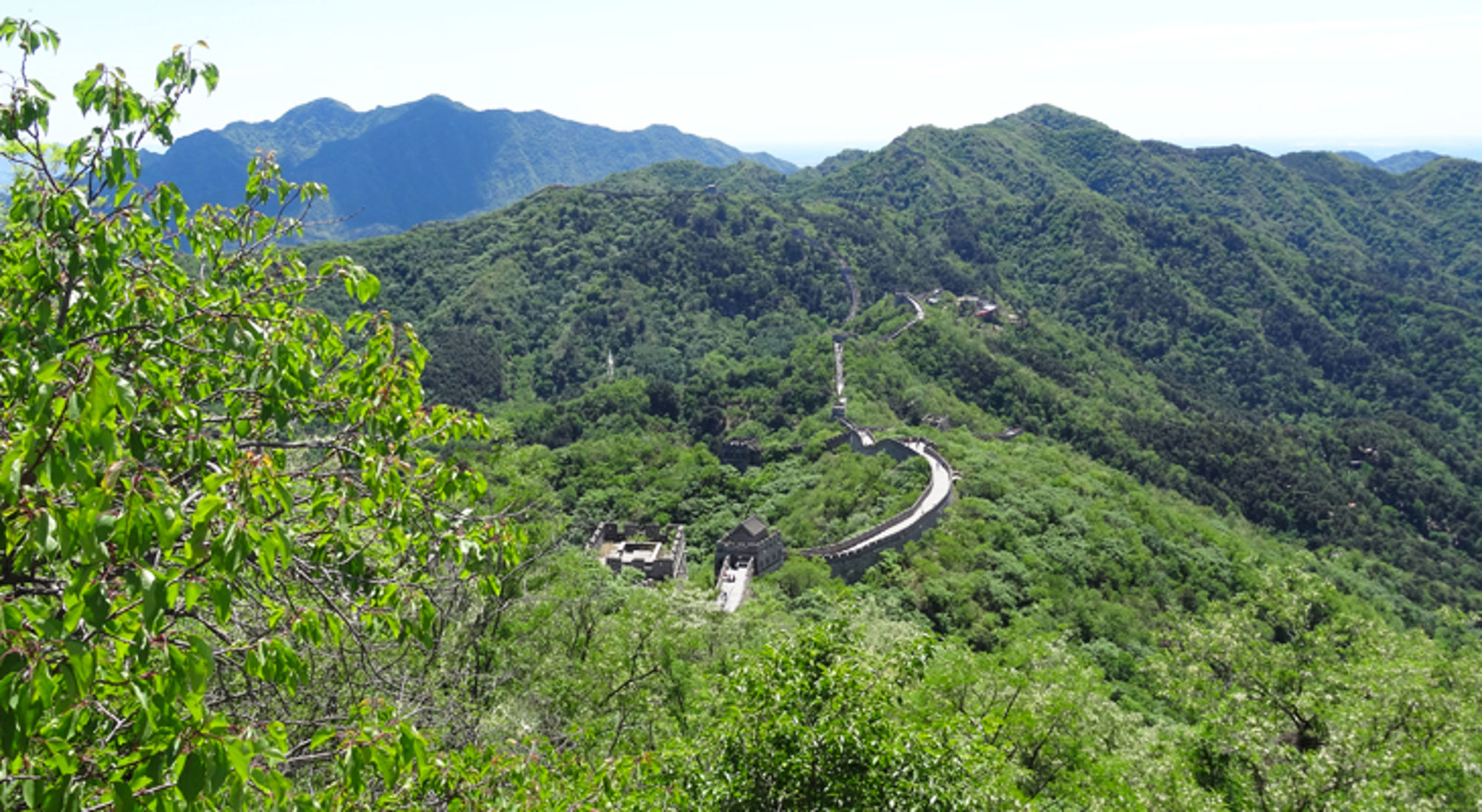 Chinese Muur, China Groene bergen met een slingerend deel van de Chinese Muur.