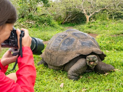 Reiziger fotografeert reuzenschildpad op de Galapagoseilanden tijdens de route Galapagoseilanden.