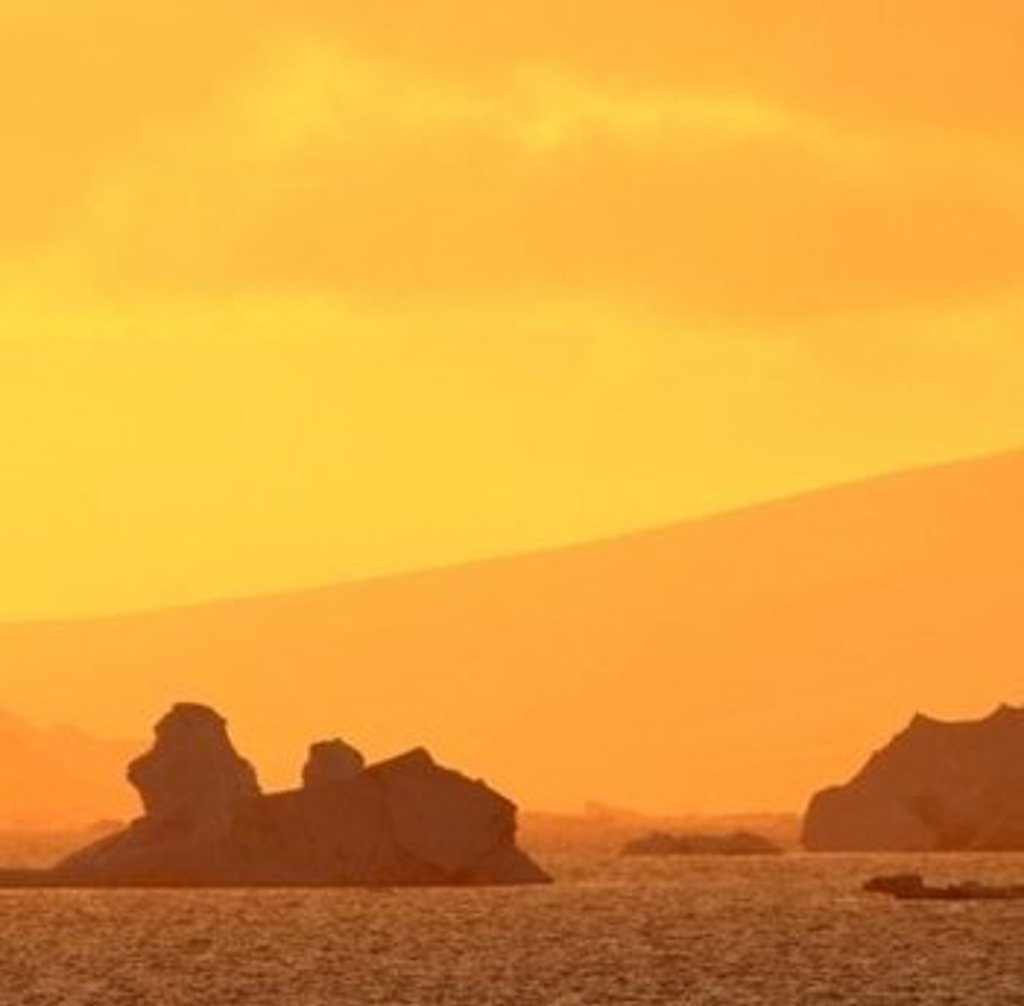 big_main_orange-skis.jpg