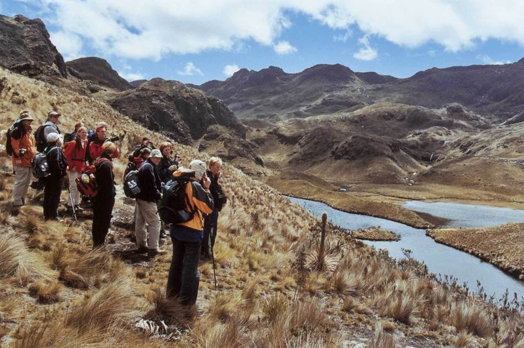Groene berghellingen met mist en begroeiing in Ecuador.