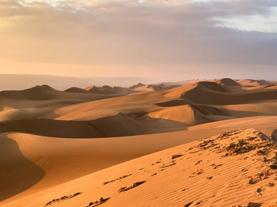 Zandduinen in de Omaanse woestijn bij zonsondergang tijdens de route Oman en Dubai.