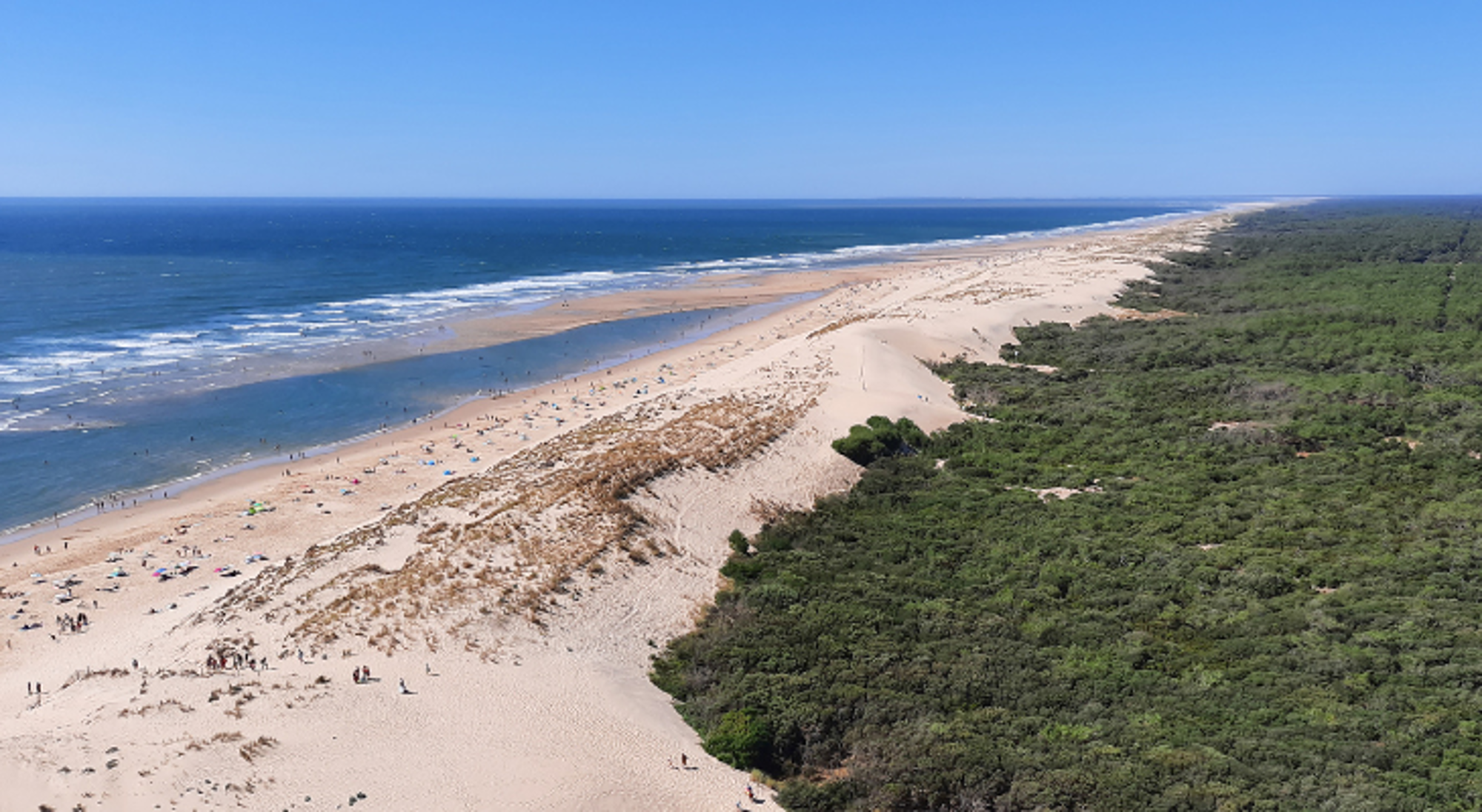 een lang zandstrand met duinen, bos en de zee op een zonnige dag.