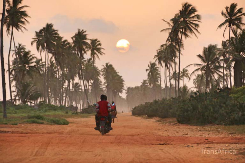 Palmbomen in de mist tijdens groepsrondreis Ghana, Togo en Benin.