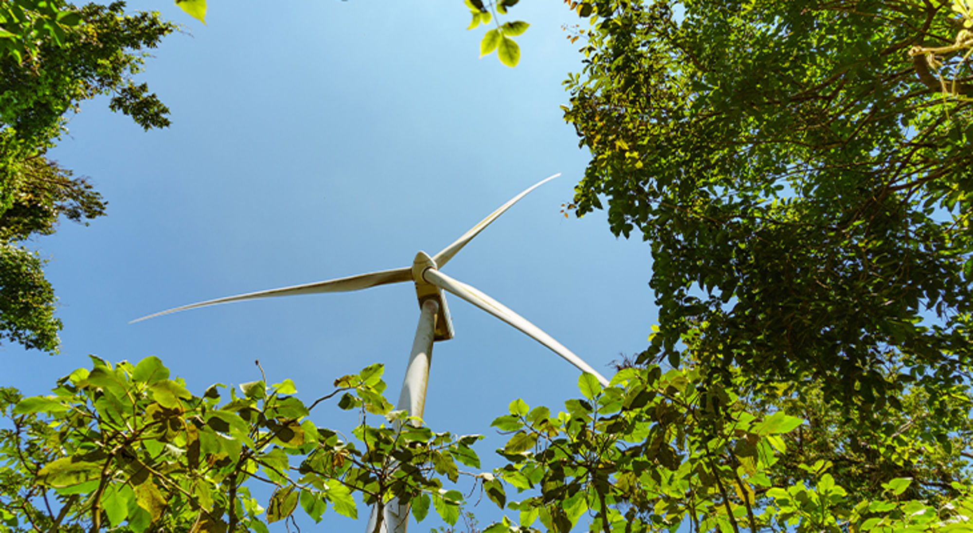 Costa Rica groene energie Windturbine boven het bos, gezien door groene boomkruinen tegen een heldere blauwe lucht.
