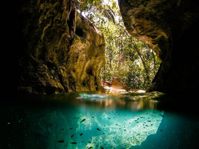 Turquoise rivierpoel met vissen tussen rotswanden in het regenwoud van Guatemala en Belize.