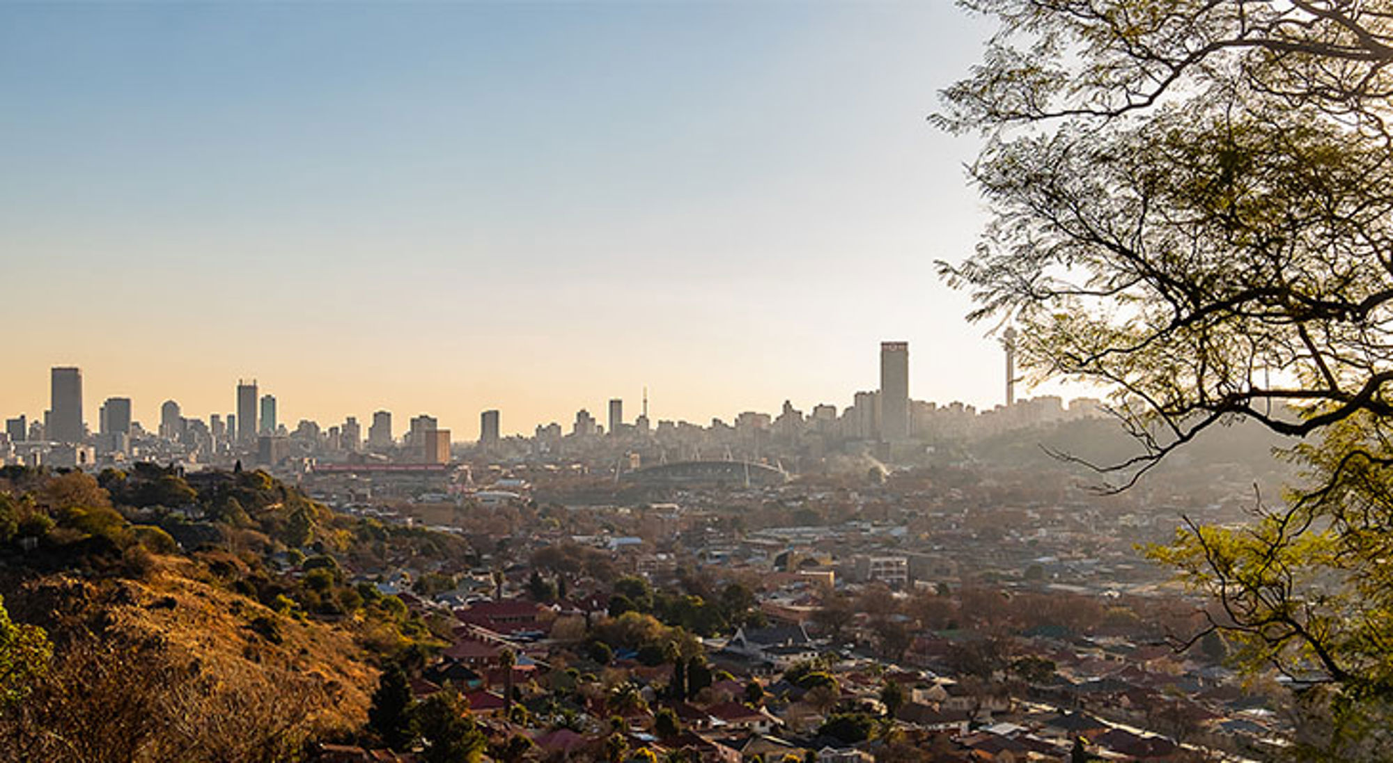 Uitzicht op Johannesburg Uitzicht op de skyline van Johannesburg bij zonsondergang, gezien vanaf een heuvel met bomen op de voorgrond.