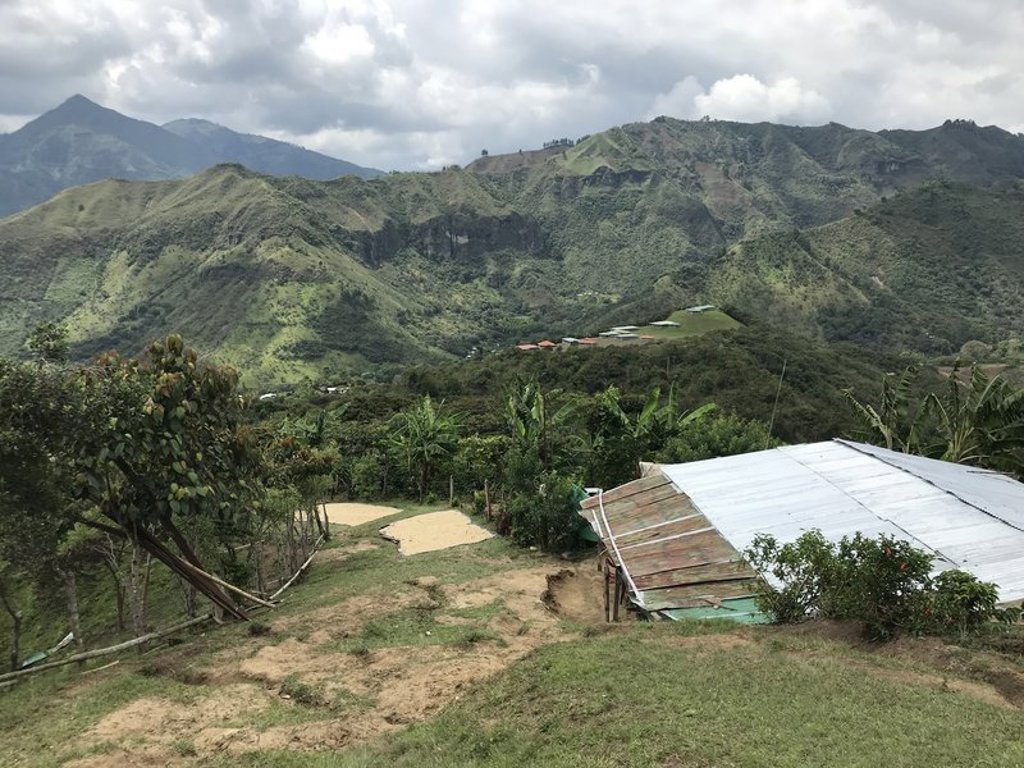 Groepsrondreis Colombia: uitzicht op de groene koffievelden in de bergen bij Salento.