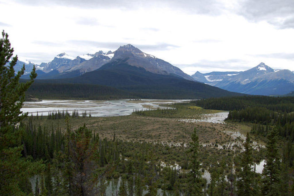 Berglandschap in West-Canada met rivierdelta, naaldbos en besneeuwde toppen onder bewolkte lucht.