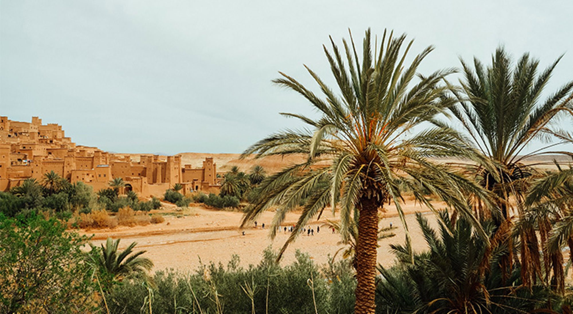 Aït-Ben-Haddou Marokko Palmbomen met op de achtergrond een lemen kasbah aan de rand van de woestijn in Marokko.