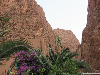 Palmen en bougainvillea bij een kasbah tussen hoge rotswanden in de Todra-kloof, Marokko.