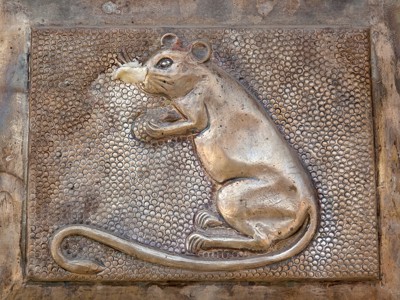 Reliëf van een rat bij de Karni Mata-tempel in Rajasthan, onderdeel van de Route Rajasthan & Gujarat 20 dagen.