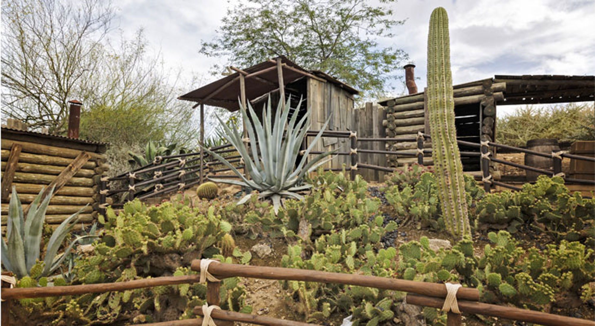 Houten ranchgebouwen tussen cactussen en agaves in een droog landschap.