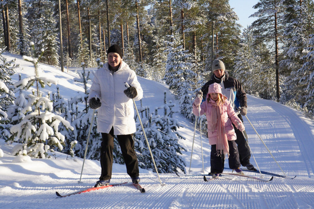Gezin langlaufend door besneeuwd bos in Lapland tijdens familiereis in de winter.