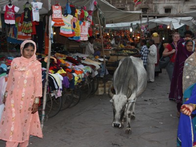 Drukke marktstraat in Rajasthan met kleurrijke kledingkramen, bezoekers en een koe die tussen de mensen loopt.
