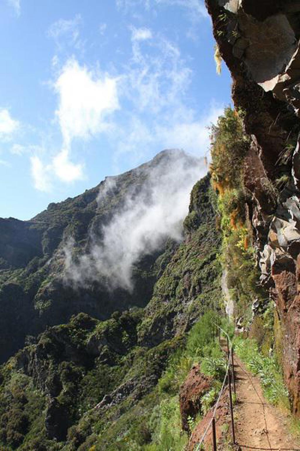 Wandelpad door het groene laurierbos op Madeira tijdens een wandelvakantie.