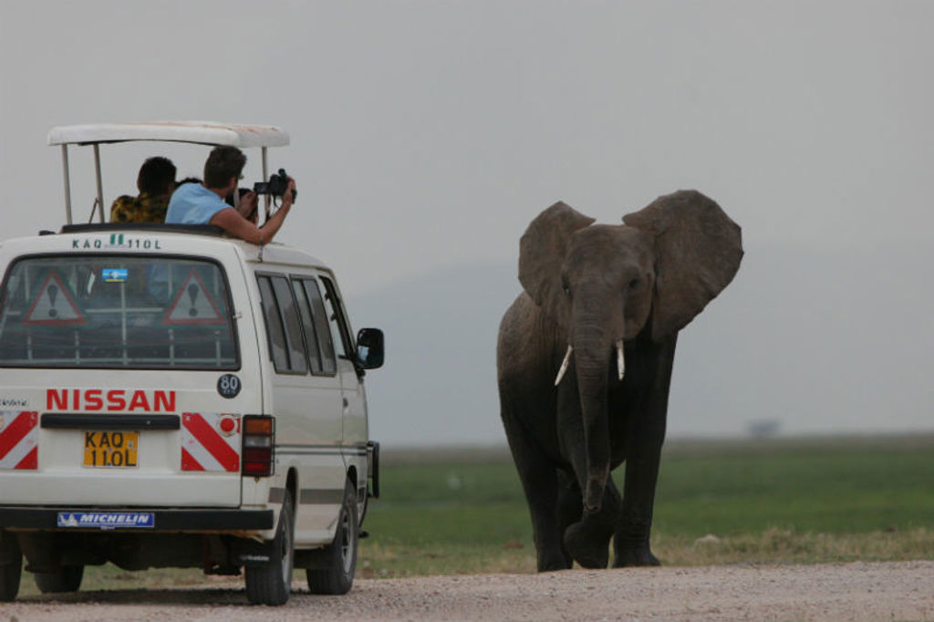 Safariwagen met reizigers die een olifant fotograferen tijdens Familiereis Kenia Comfort.
