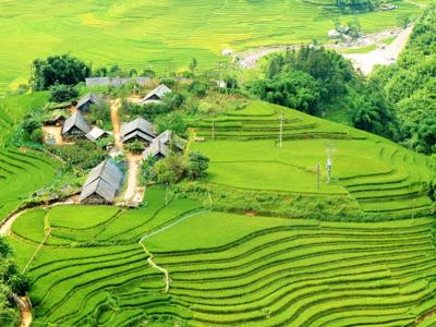 homestay sapa