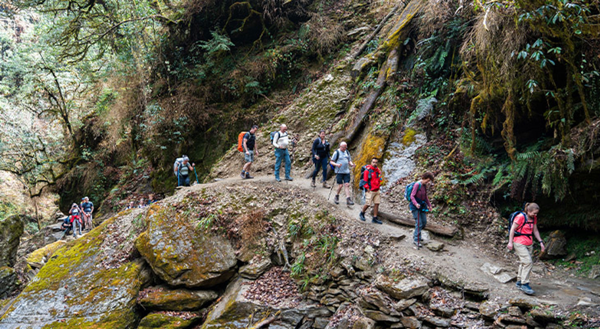 Ghorepani trekking Nepal Groep wandelaars met rugzakken op een smal bergpad door een groene kloof met rotsen en mos.