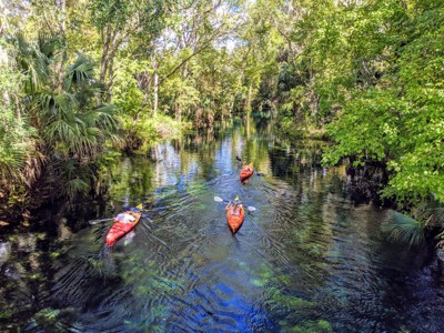 Kajakkers peddelen door een smalle rivier in een groen bos tijdens de Route Baltische Staten.