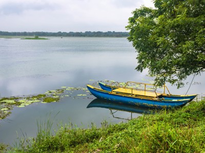 Blauwe boot aan de oever van een rustig meer met waterlelies in Sri Lanka.