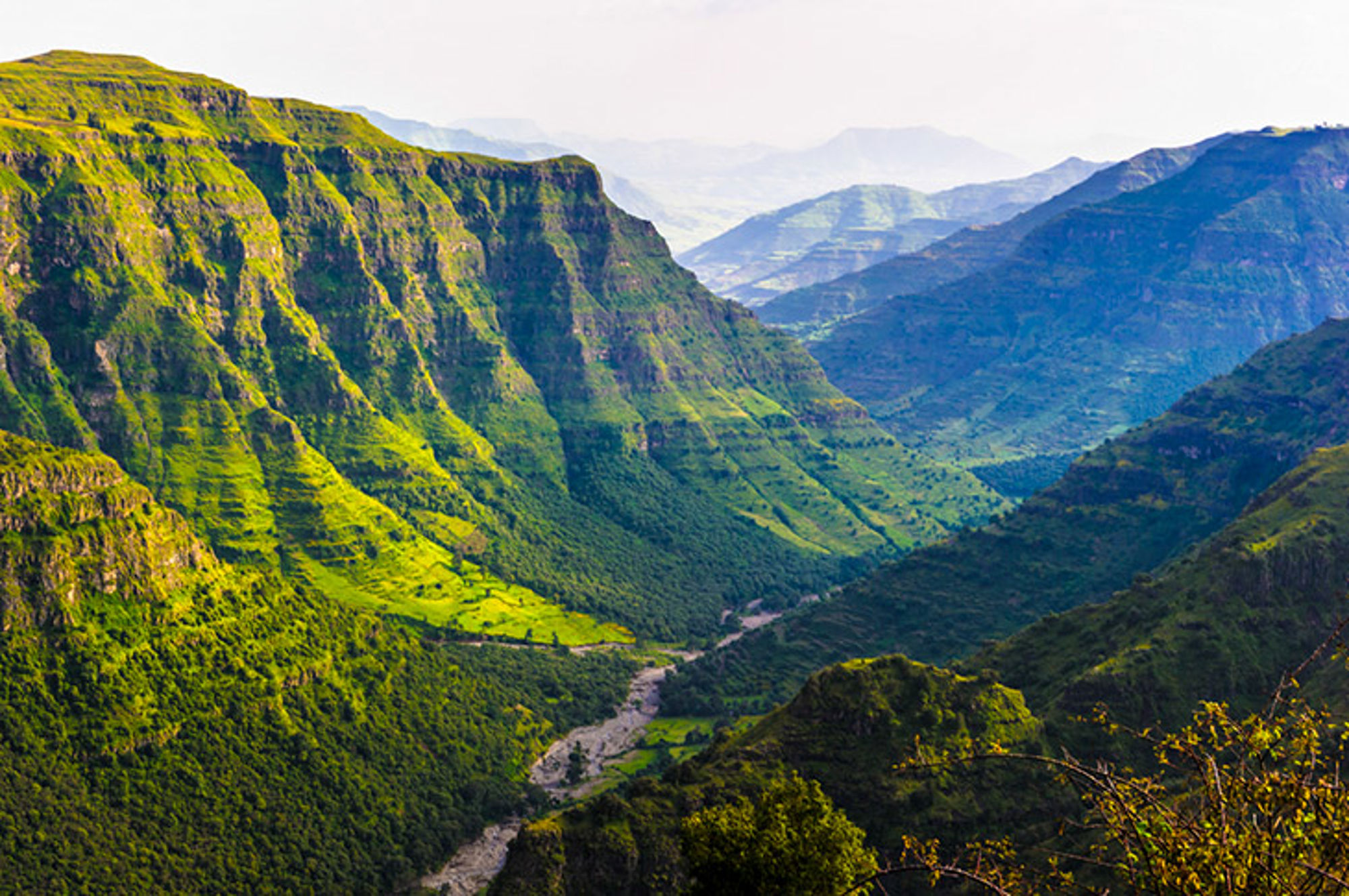 Bossen en gebergte in Noord-Ethiopië Groene bergkloof met steile rotswanden en een rivier in de vallei, gezien vanaf een uitkijkpunt.