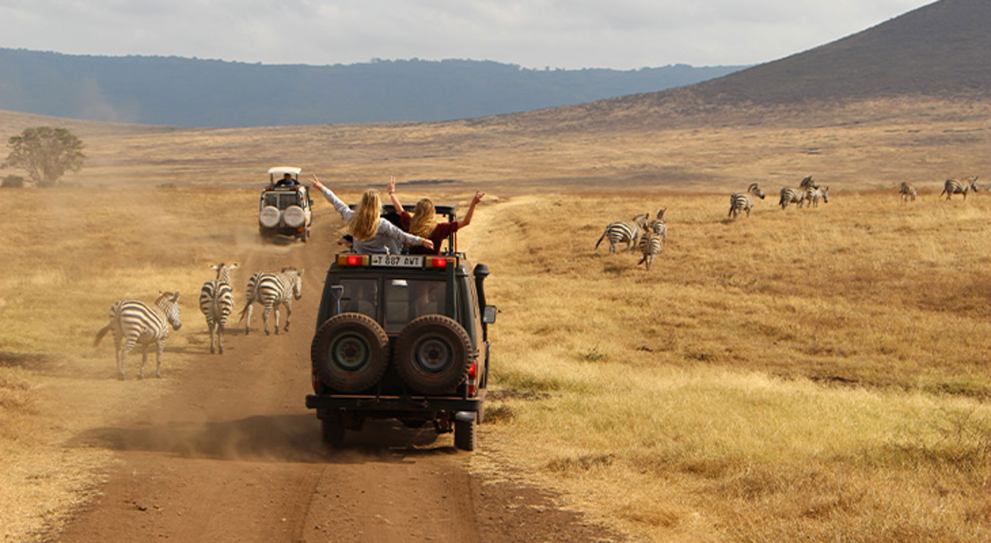 Familiereis Tanzania Safari-jeeps op een stoffige savanneweg met zebra’s langs de route.
