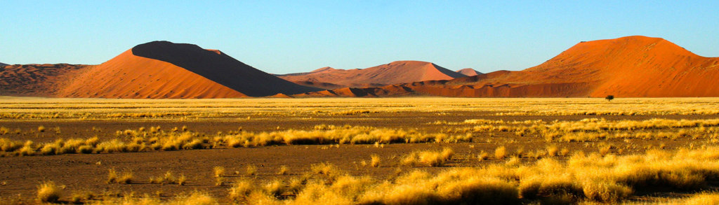 Zandduinen in de Namib-woestijn bij Sossusvlei, Namibië.