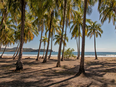 Palmbomen op een zandstrand aan de kust van Costa Rica.