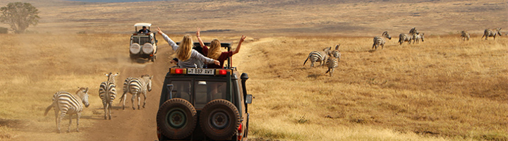 Gezin in safari-jeep spot zebra’s op de savanne tijdens een familiereis op safari.