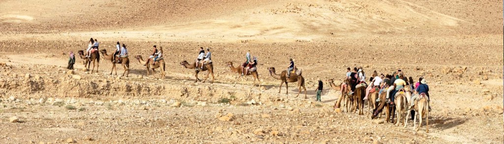 Groepsrondreis Israël en de Palestijnse gebieden: kamelentocht met reizigers door de woestijn.