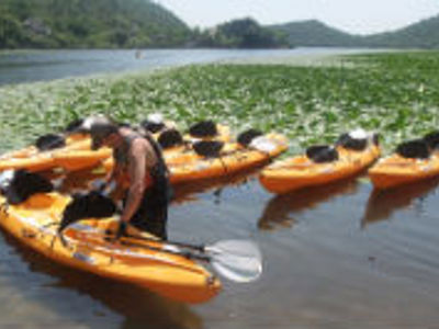 Kajaks op het Skadarmeer in Montenegro, klaar voor een peddeltocht langs waterlelies en groene oevers.