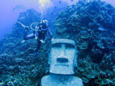Duiker bij onderwater Moai-beeld tussen koraalriffen tijdens Route 2 Festivalreis.