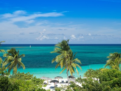 Palmbomen en wit zandstrand aan de turquoise zee in Cuba, onderdeel van de Route Cuba  rondreis.