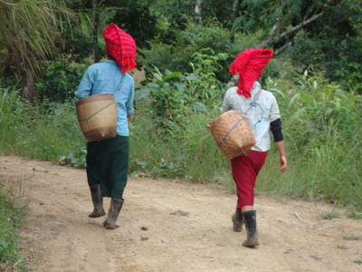 Twee vrouwen met manden op de rug lopen over een zandpad door groen landschap in Myanmar.