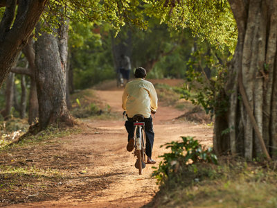Fietser op een zandpad door het groen in Sri Lanka tijdens een 15-daagse fietsreis.
