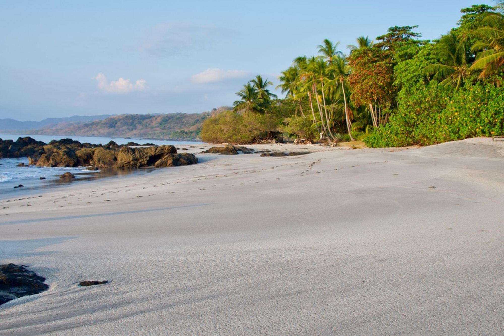 Tropisch zandstrand met palmbomen en rotsen aan de kust van Costa Rica.