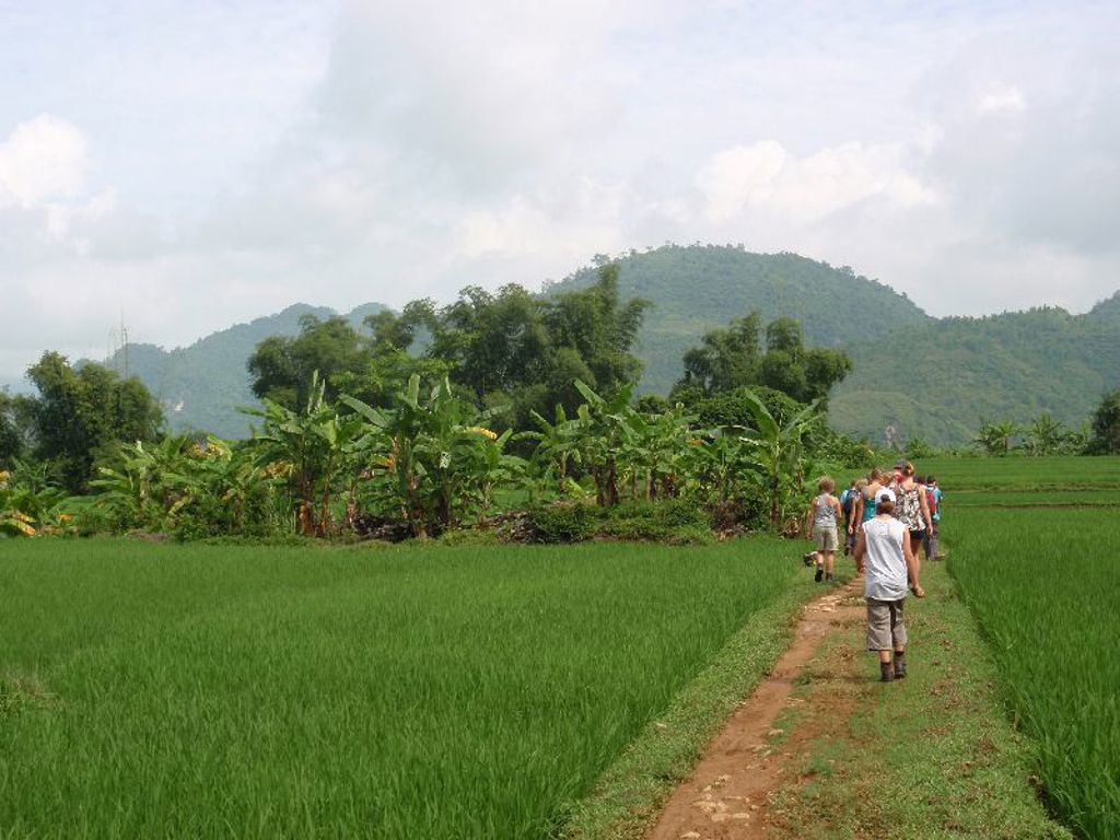 Gezin wandelt over een pad langs groene rijstvelden met bananenbomen en bergen in Vietnam.