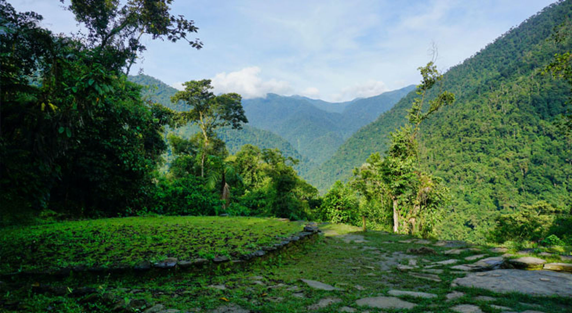 Groene bergvallei met weelderig regenwoud en stenen pad in Colombia.