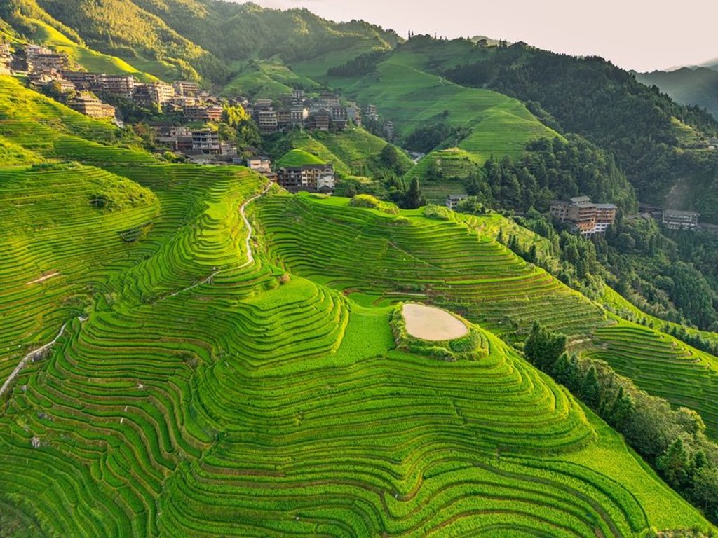 Mistige bergtoppen en groene bossen tijdens een groepsrondreis langs hoogtepunten in China.