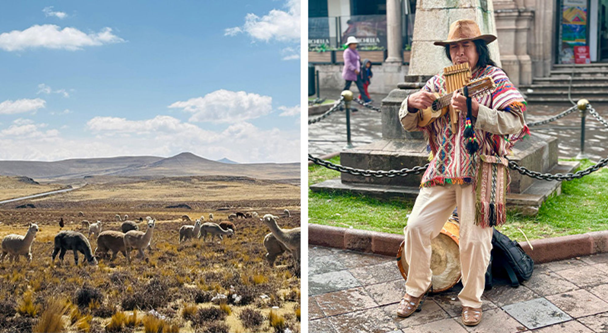 Peru Lama’s in het Andeslandschap en straatmuzikant met panfluit en charango in Peru.