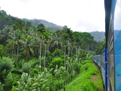 Treinreis door de groene heuvels van Sri Lanka langs palmbomen en tropisch regenwoud.