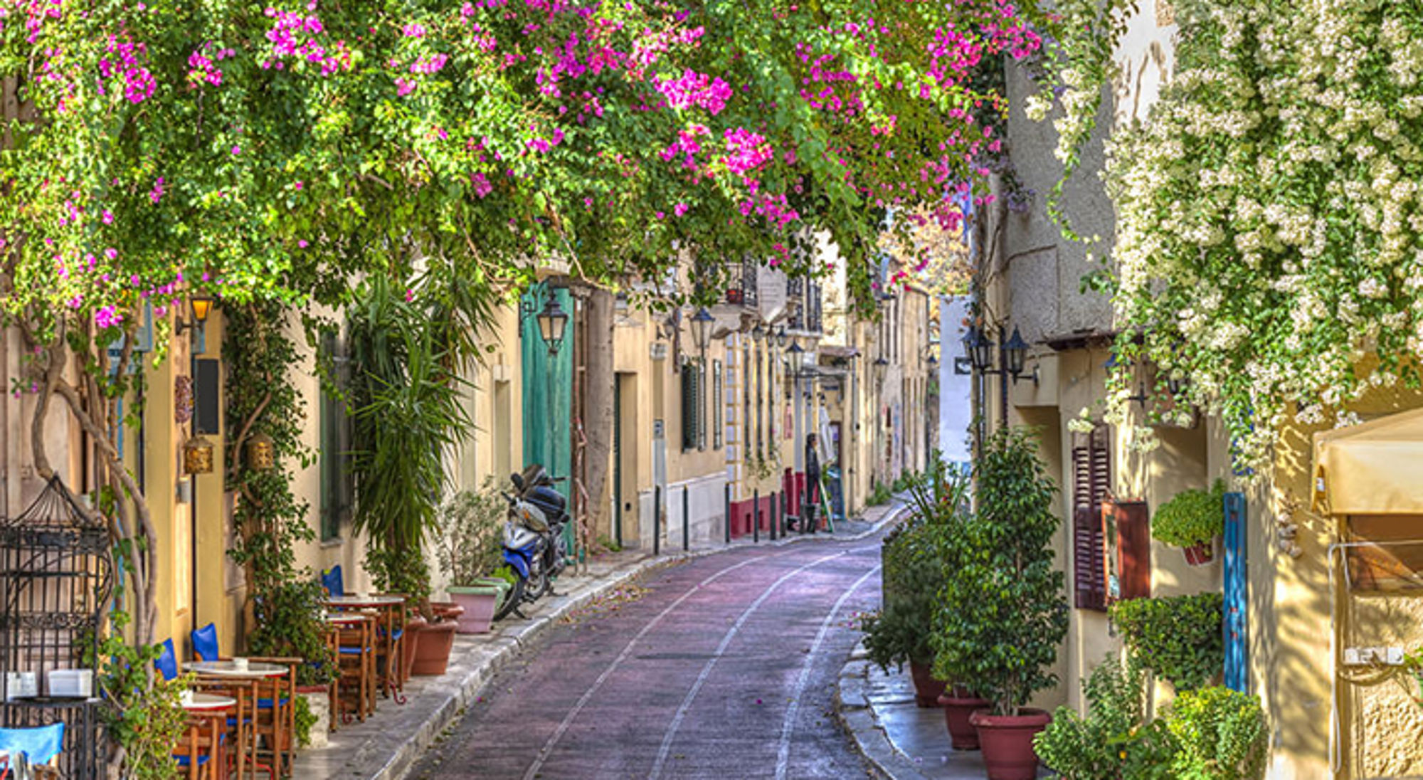 Smalle straat met cafés en kleurrijke bougainvillea langs historische gevels in de oude stad.