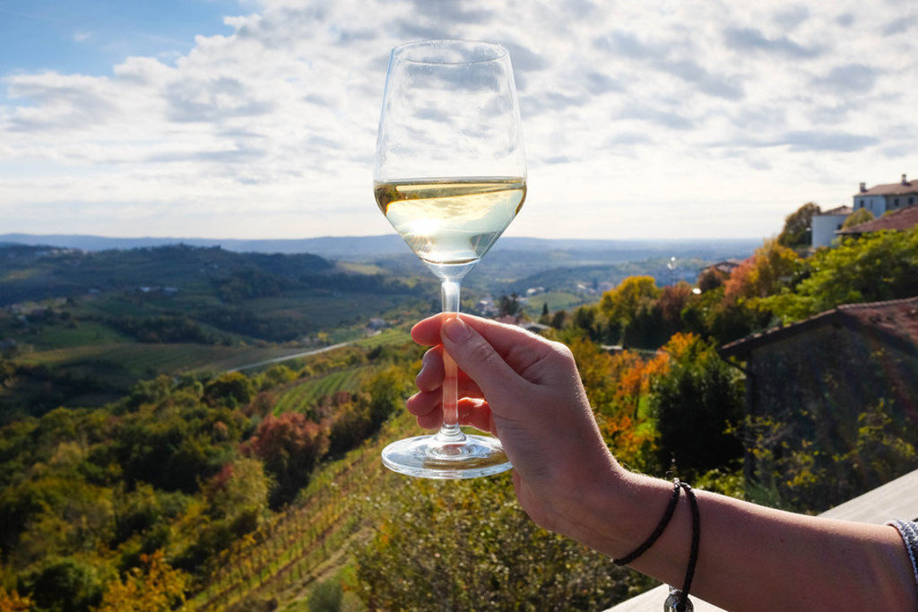 Glas Sloveense witte wijn met uitzicht over wijngaarden en heuvels tijdens 22-35ers reis Slovenië.