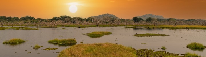 Zonsondergang boven een lagune met grasvelden in Yala National Park, Sri Lanka.