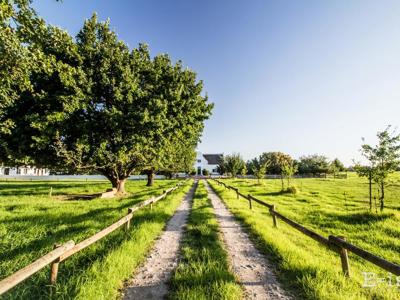Rotterdam Guest Farm - oprit