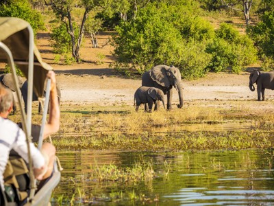 Safari in Chobe National Park: olifanten bij de rivier, gezien vanuit een boot.