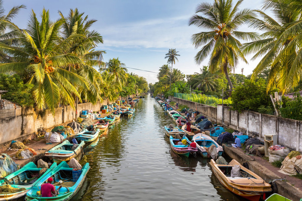 Kanaal met vissersboten en palmbomen langs de oever in Sri Lanka, tijdens een fietsvakantie.