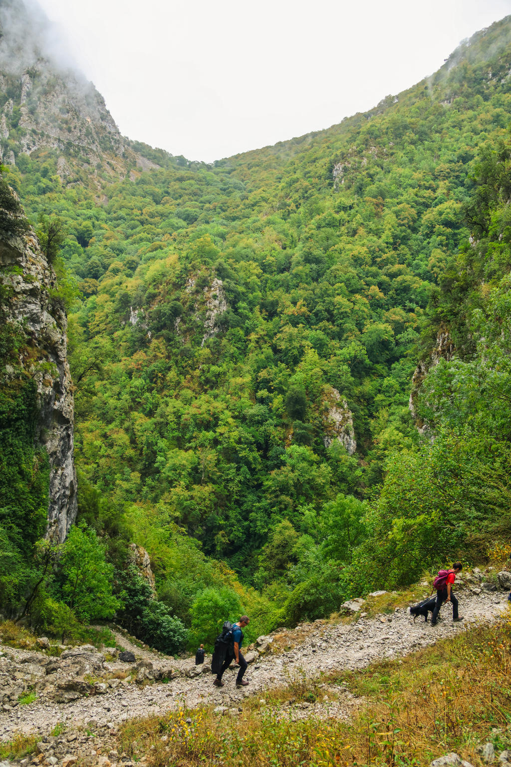 Wandelaars op bergpad door groen dal in de Picos de Europa, Spanje.