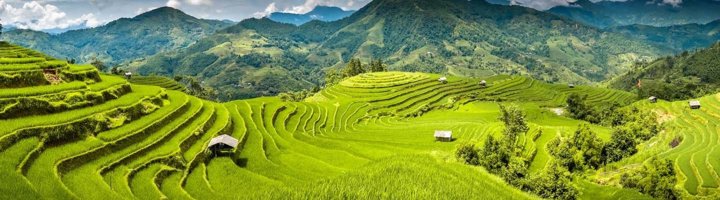 Mistige rijstterrassen en berglandschap bij Sapa, Vietnam.