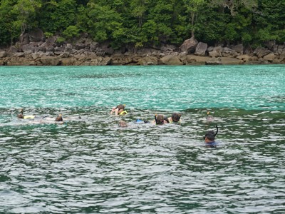 Snorkelen in helderblauw water langs een groene rotskust in Thailand.